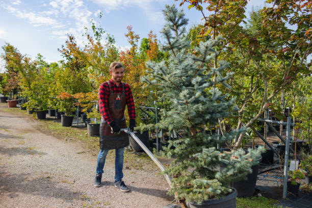 Cedar Glen Lakes, NJ Tree Removal and Landscaping Services Company